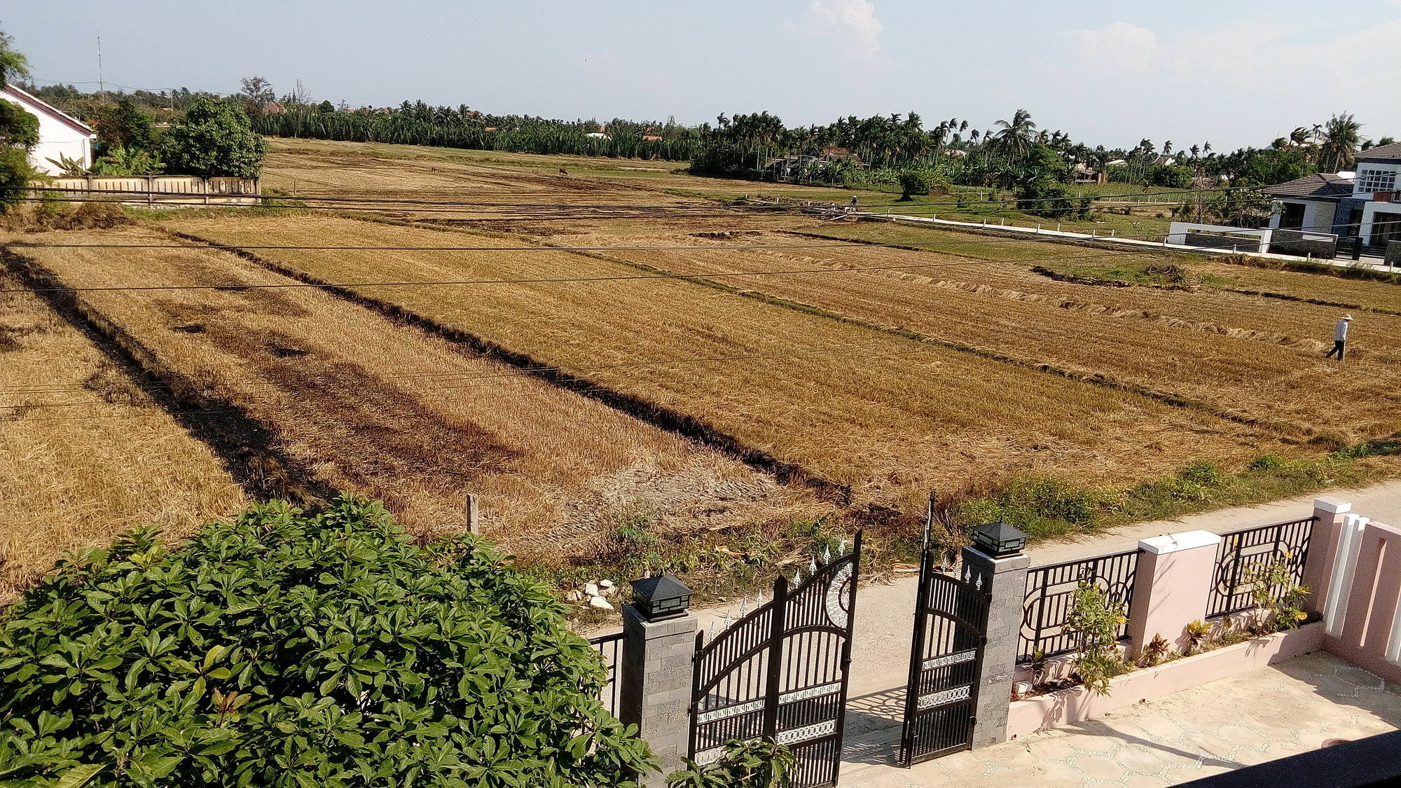 The Field Homestay Hoi An Exterior foto